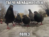 ты че на наших гулек полез