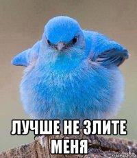  лучше не злите меня