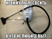 невижу пылесосить а что не любите вы?