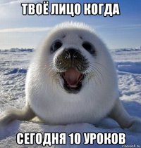 твоё лицо когда сегодня 10 уроков