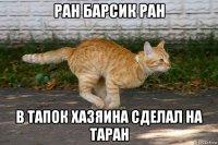 ран барсик ран в тапок хазяина сделал на таран