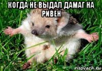 когда не выдал дамаг на ривен 