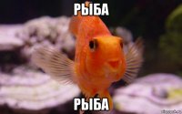 рыба рыба