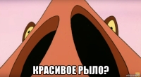  красивое рыло?