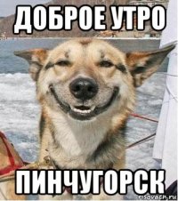 доброе утро пинчугорск