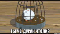  ты чё, дурак чтоли?