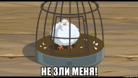  не зли меня!