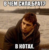 в чем сила,брат? в котах.