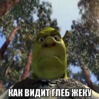  как видит глеб жеку