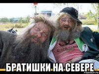  братишки на севере