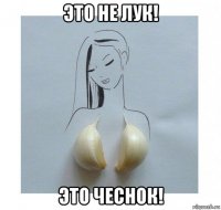 это не лук! это чеснок!