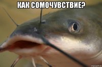 как сомочувствие? 