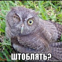  штоблять?