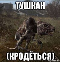 тушкан (кродёться)