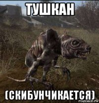 тушкан (скибунчикается)