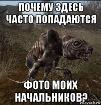 почему здесь часто попадаются фото моих начальников?