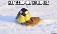 нет сала, нет хомячка 