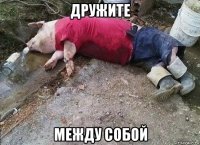 дружите между собой
