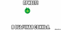 привет! я обычная свинья.