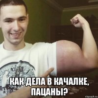  как дела в качалке, пацаны?