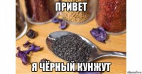 привет я чёрный кунжут