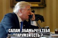  салам ,обамыч! у тебя гарумзи есть ?