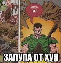  залупа от хуя