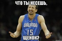 что ты несешь, щенок?