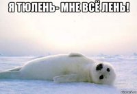 я тюлень- мне всё лень! 