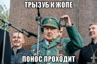 трызуб к жопе понос проходит