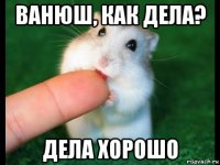 ванюш, как дела? дела хорошо