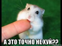  а это точно не хуй??