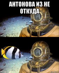 антонова из не откуда 