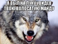 я выл на луну увидев твою волосатую манду 