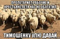 пролетариат,рабочие и крестьяне:петя нас не обогатил тимошенку улю давай