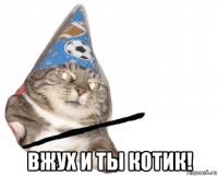  вжух и ты котик!