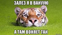 залез я в вануую а там воняет так