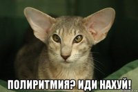  полиритмия? иди нахуй!