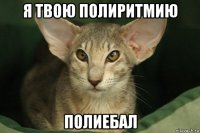 я твою полиритмию полиебал
