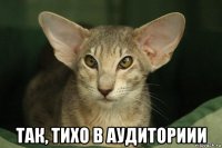  так, тихо в аудиториии