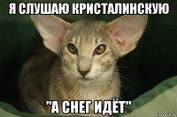 я слушаю кристалинскую "а снег идёт"