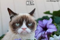 нет. 