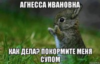 агнесса ивановна как дела? покормите меня супом
