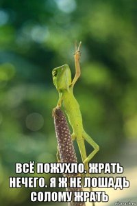  всё пожухло. жрать нечего. я ж не лошадь солому жрать