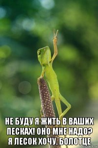  не буду я жить в ваших песках! оно мне надо? я лесок хочу. болотце