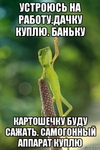 устроюсь на работу.дачку куплю. баньку картошечку буду сажать. самогонный аппарат куплю