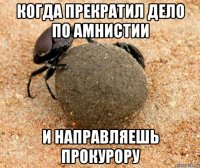 когда прекратил дело по амнистии и направляешь прокурору
