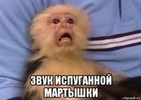  звук испуганной мартышки