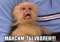  максим-ты уволен!!!