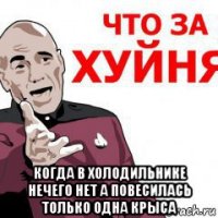  когда в холодильнике нечего нет а повесилась только одна крыса
